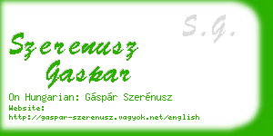 szerenusz gaspar business card